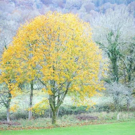 Brantholme 3* אמבלסייד