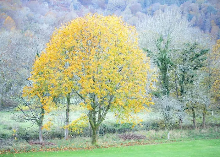 Brantholme 3* Ambleside