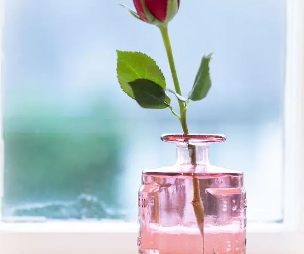 Brantholme Bed & Breakfast